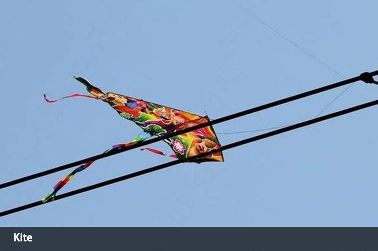 Kite Kite